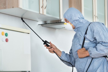 Home Pest Control, Pest Control in Putney, SW15. Call Now 020 8166 9746