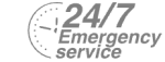 24/7 Emergency Service Pest Control in Putney, SW15. Call Now! 020 8166 9746